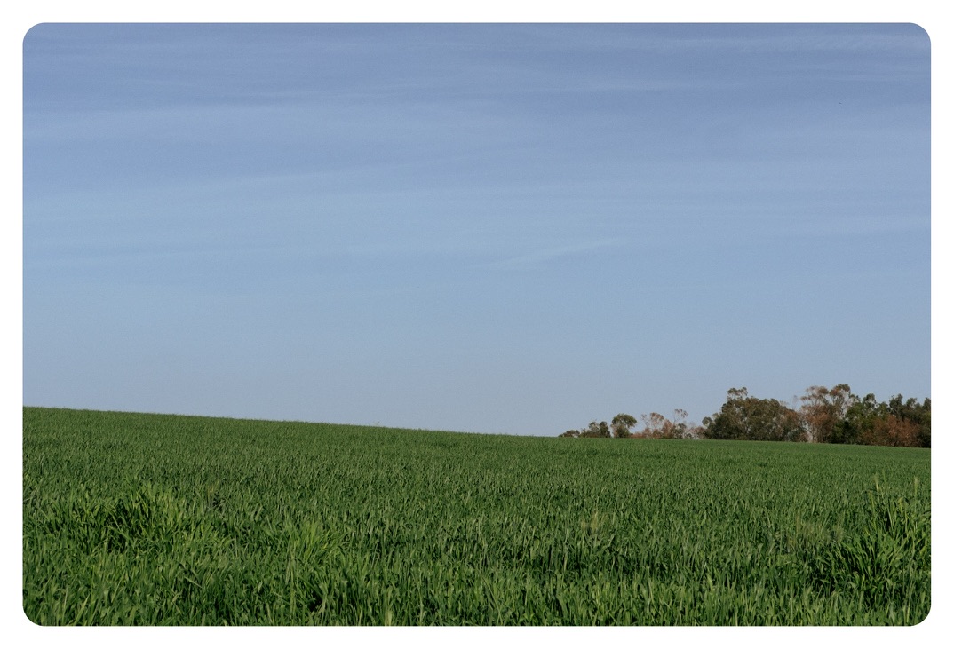 Fields